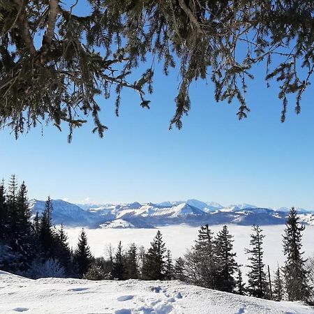Ferienwohnung Floriani Saint Wolfgang Екстериор снимка